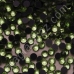 Термостразы Crystal,DMC - 907 Peridot ss20